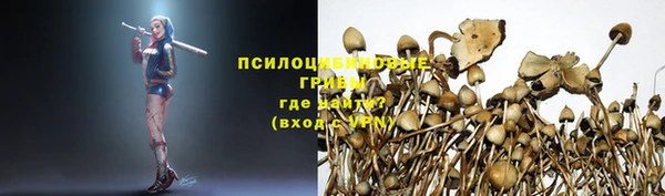соль ск Волосово