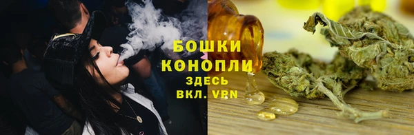 соль ск Волосово