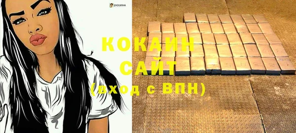 хмурый Корсаков