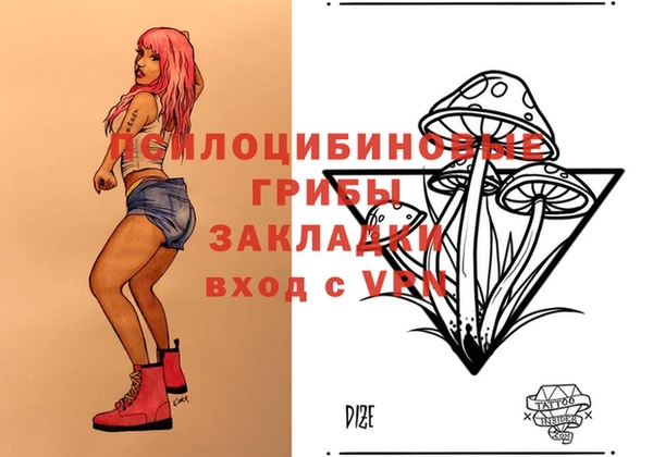 МДПВ Волоколамск