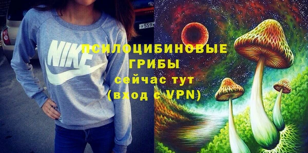 МДПВ Волоколамск