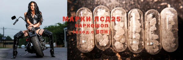 соль ск Волосово