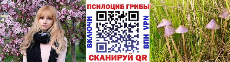 купить  цена  Высоковск  Псилоцибиновые грибы MAGIC MUSHROOMS 
