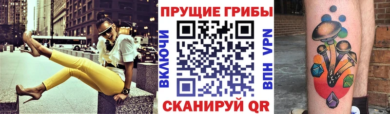 Псилоцибиновые грибы ЛСД Высоковск
